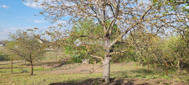 Eladó telek, Dunaharasztin 39.9 M Ft / költözzbe.hu