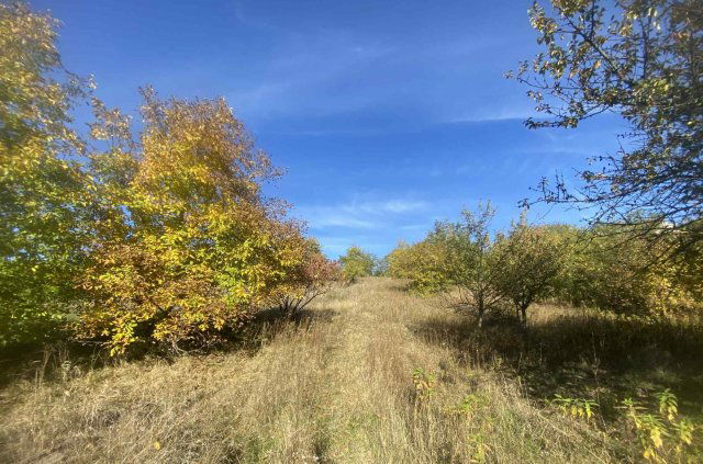 Eladó telek, Óbarokon 12.5 M Ft / költözzbe.hu