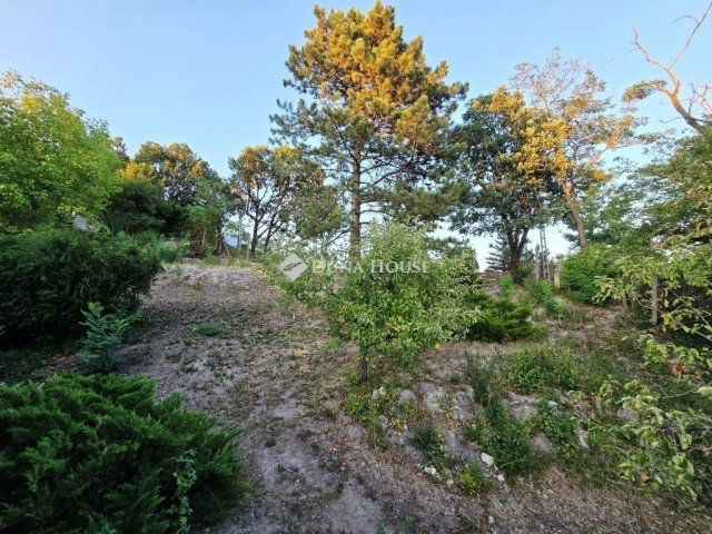 Eladó telek, Diósdon 79.9 M Ft / költözzbe.hu