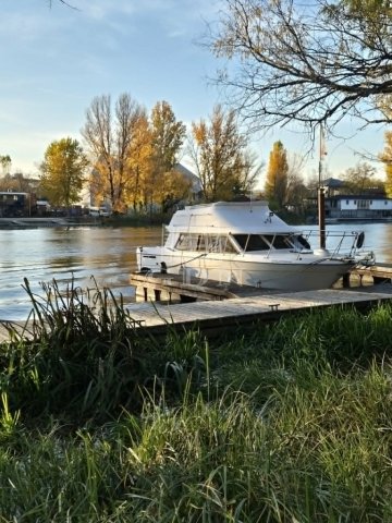 Kiadó téglalakás, albérlet, Budapesten, XX. kerületben