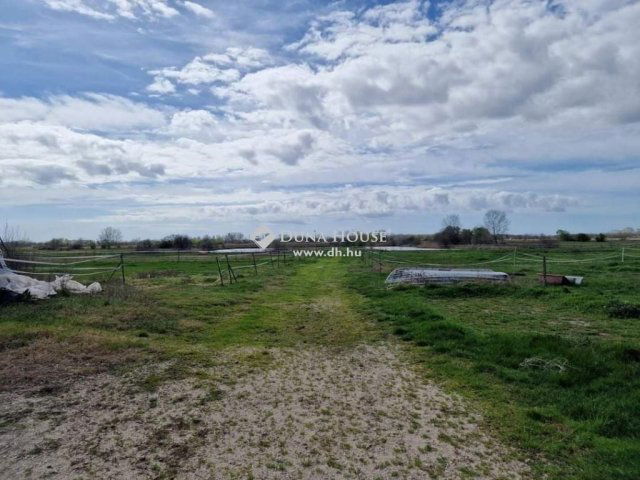 Eladó családi ház, Cegléden 135 M Ft, 1 szobás