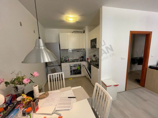 Kiadó téglalakás, albérlet, Budapesten, IX. kerületben
