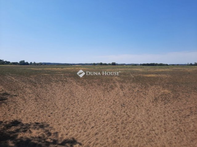 Eladó mezogazdasagi ingatlan, Dabason 30 M Ft
