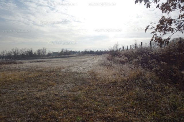 Eladó mezogazdasagi ingatlan, Isaszegen 119 M Ft