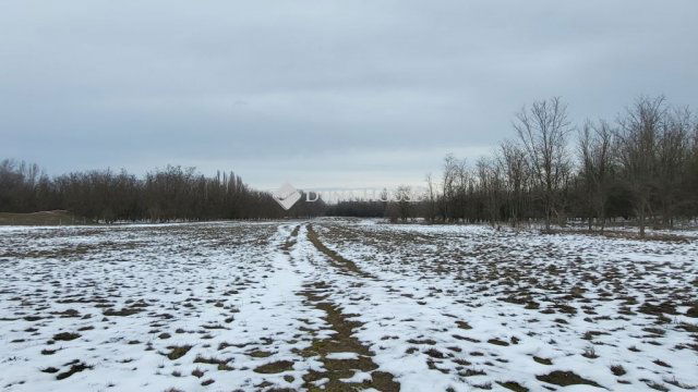 Eladó mezogazdasagi ingatlan, Szankon 21.7 M Ft