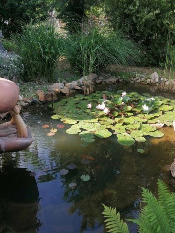 Eladó családi ház, Dömsödön 25.5 M Ft, 3+1 szobás