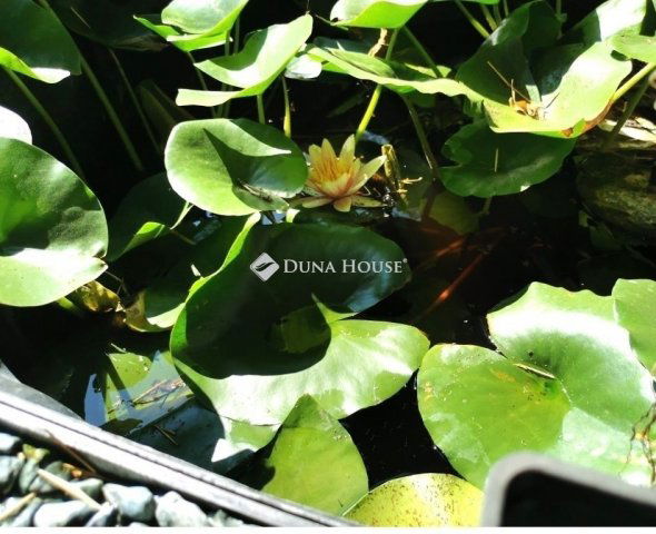 Eladó nyaraló, Tokodon 44.99 M Ft, 5 szobás