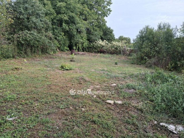 Eladó családi ház, Villányban 22 M Ft, 5 szobás