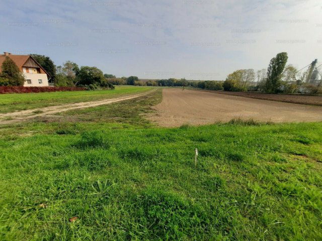 Eladó telek, Zamárdiban 82.5 M Ft / költözzbe.hu