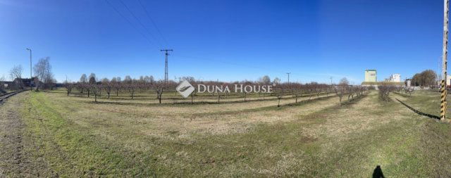 Eladó mezogazdasagi ingatlan, Dabason 195 M Ft, 6 szobás