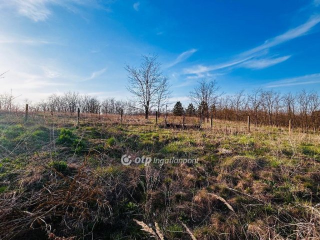 Eladó családi ház, Pakson 95 M Ft, 3 szobás