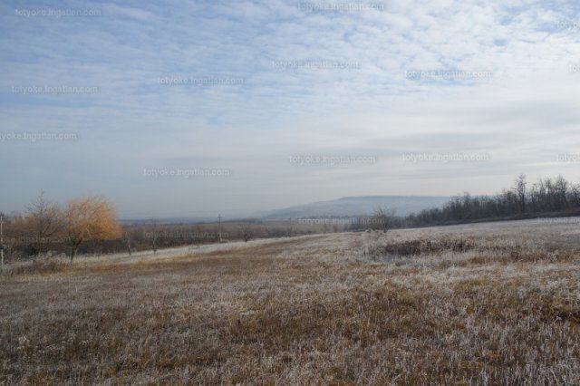Eladó mezogazdasagi ingatlan, Isaszegen 119 M Ft