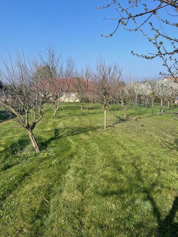 Eladó nyaraló, Keszthelyen 37.9 M Ft / költözzbe.hu