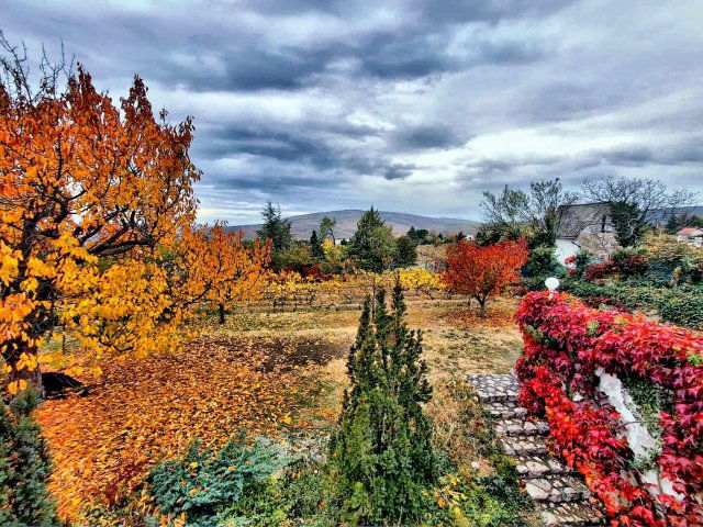 Eladó családi ház, Pécsett, Sziklás dűlőn 196 M Ft, 6 szobás