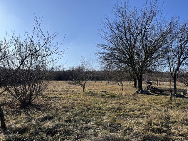 Eladó családi ház, Mályin 250 M Ft / költözzbe.hu