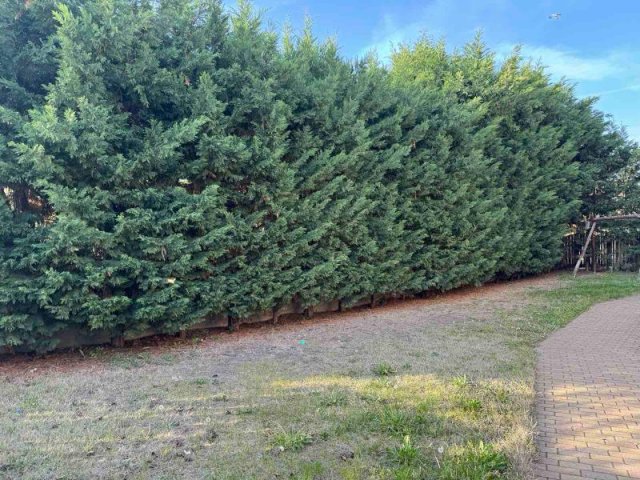 Eladó ikerház, Fóton 109 M Ft, 3 szobás / költözzbe.hu