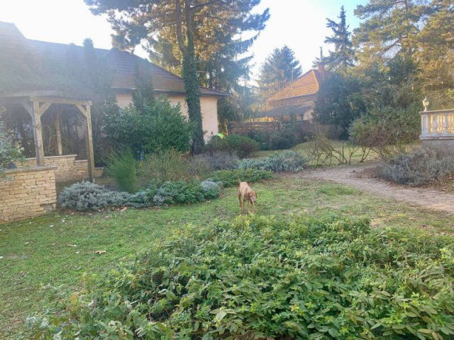 Eladó családi ház, Piliscsabán 178 M Ft, 6 szobás