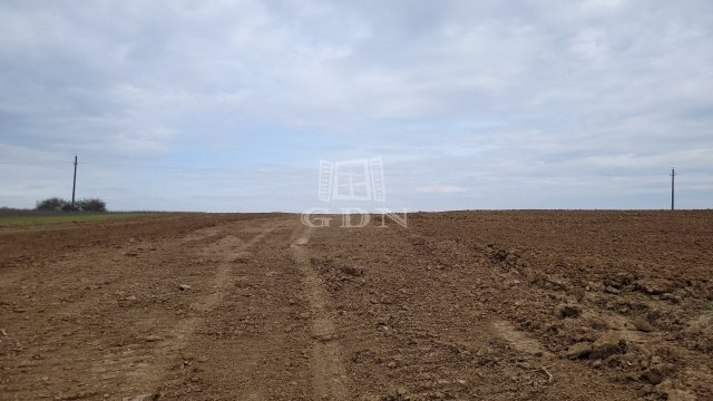 Eladó mezogazdasagi ingatlan, Borsosberényben 3.9 M Ft