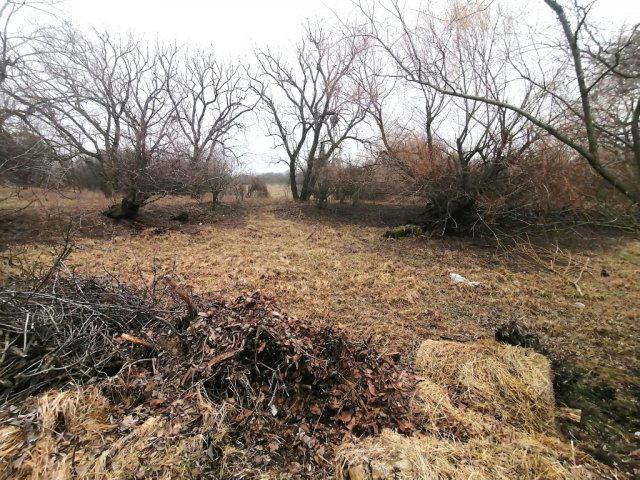 Eladó ipari ingatlan, Tésen 61.47 M Ft / költözzbe.hu