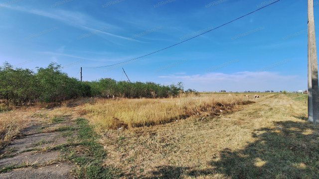 Eladó mezogazdasagi ingatlan, Jászberényben 20.499 M Ft