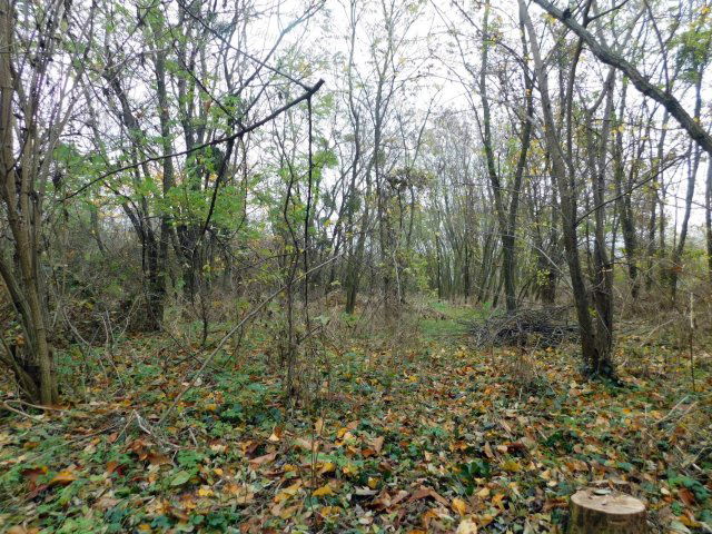 Eladó mezogazdasagi ingatlan, Karmacson 5.8 M Ft