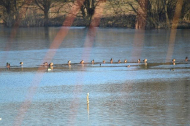 Eladó mezogazdasagi ingatlan, Nagyvázsonyon 445 M Ft