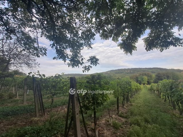 Eladó telek, Káptalantótin 9.5 M Ft / költözzbe.hu