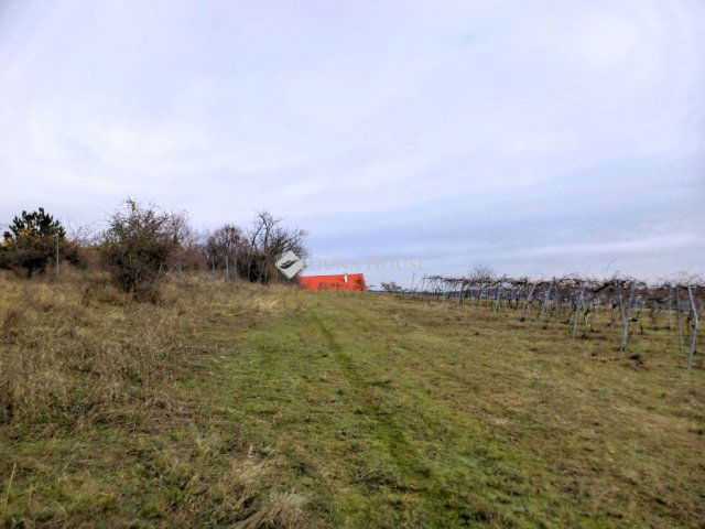 Eladó mezogazdasagi ingatlan, Sukorón 31.9 M Ft