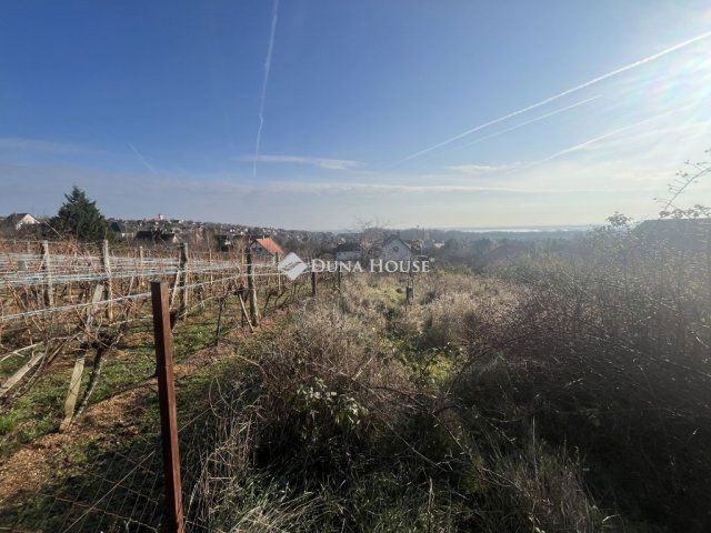 Eladó telek, Sukorón 39.9 M Ft / költözzbe.hu