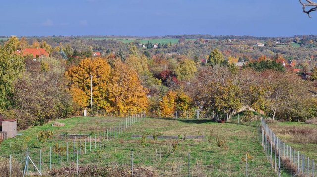 Eladó telek, Balatonkenesén 40.9 M Ft / költözzbe.hu