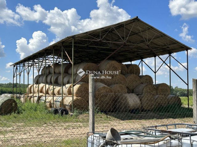 Eladó mezogazdasagi ingatlan, Monoron 200 M Ft