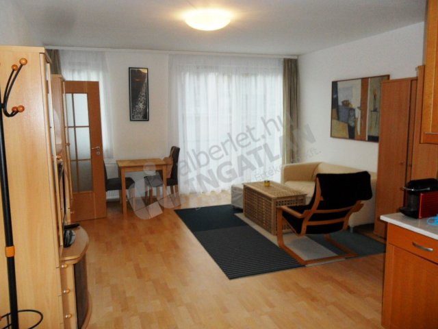 Kiadó téglalakás, albérlet, IX. kerületben, Kinizsi utcában