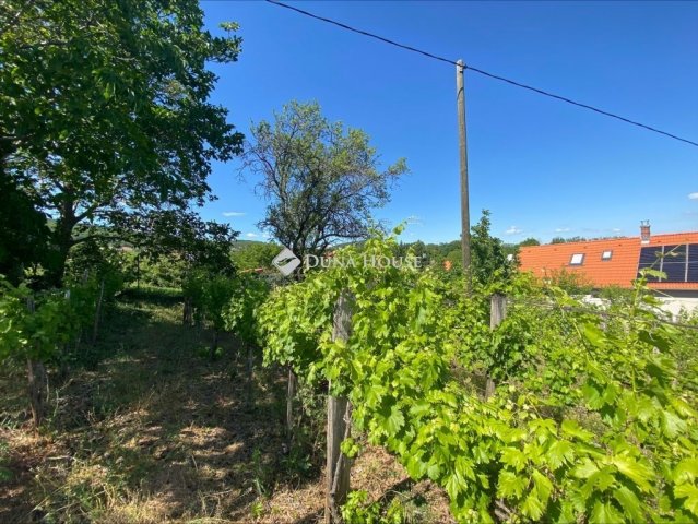 Eladó telek, Csopakon 9.5 M Ft / költözzbe.hu