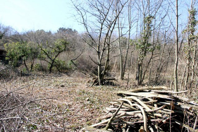 Eladó telek, Pázmándon 7.499 M Ft / költözzbe.hu