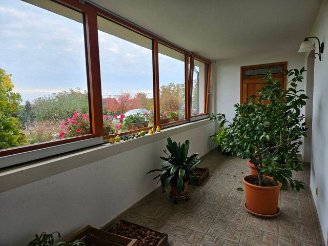 Eladó családi ház, Bozsokon 290 M Ft, 6 szobás