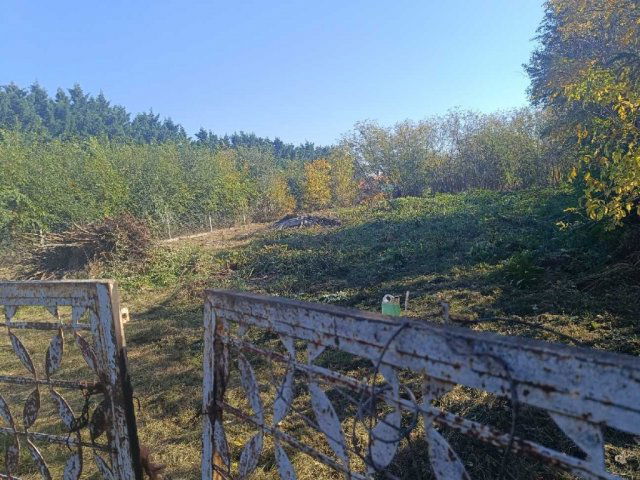 Eladó telek, Polgárdin 12.5 M Ft / költözzbe.hu