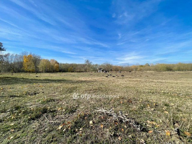 Eladó telek, Hosszúpályin 5.99 M Ft / költözzbe.hu