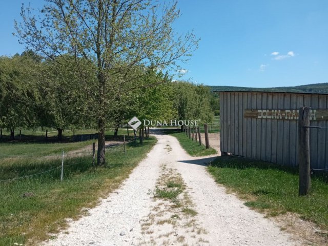 Eladó mezogazdasagi ingatlan, Biatorbágyon, Nagy utcában 209 M Ft