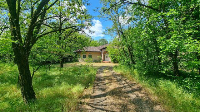 Eladó családi ház, Nyírturán 99 M Ft, 4 szobás