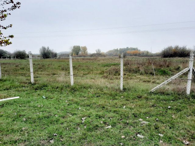 Eladó mezogazdasagi ingatlan, Vecsésen 64 M Ft