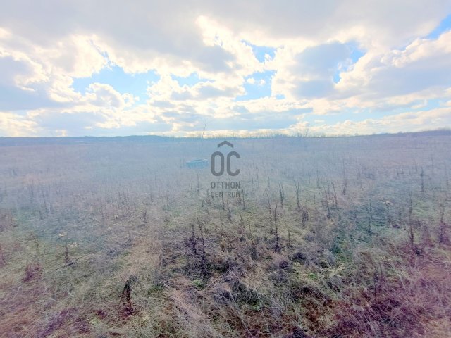 Eladó mezogazdasagi ingatlan, Csomádon 355 M Ft