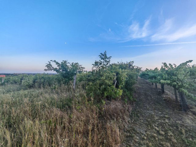 Eladó telek, Pázmándon 10.9 M Ft / költözzbe.hu