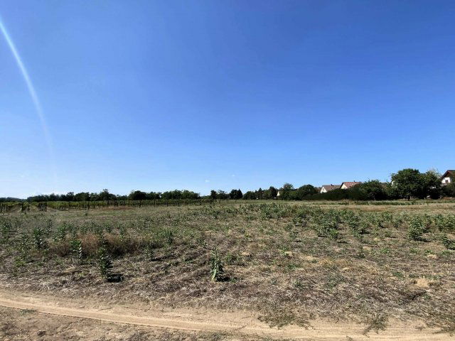 Eladó telek, Kiskunmajsán 119.9 M Ft / költözzbe.hu