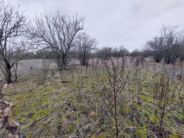 Eladó mezogazdasagi ingatlan, Röszkén 5 M Ft