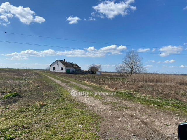 Eladó mezogazdasagi ingatlan, Egyeken 44 M Ft