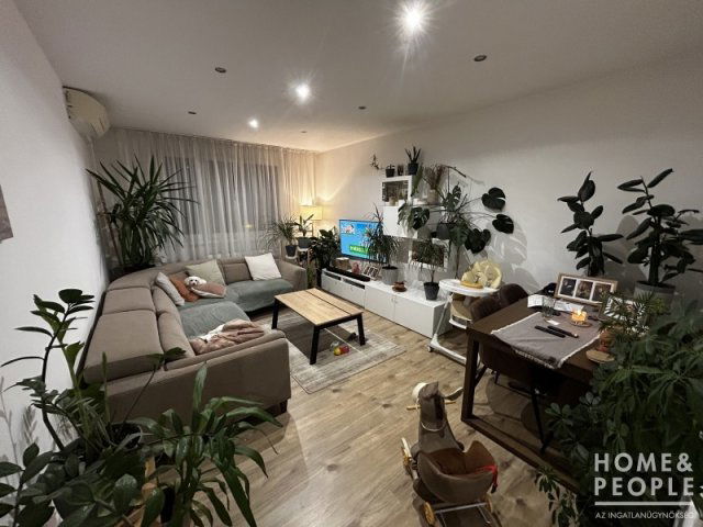 Eladó téglalakás, Szegeden 62.9 M Ft, 3 szobás