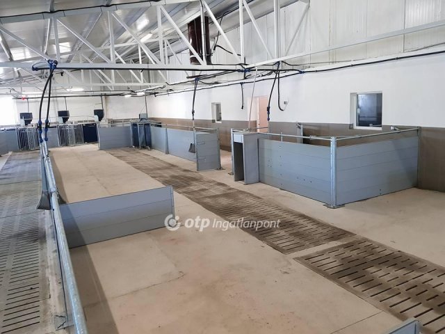 Eladó ipari ingatlan, Hajdúdorogon 250 M Ft / költözzbe.hu