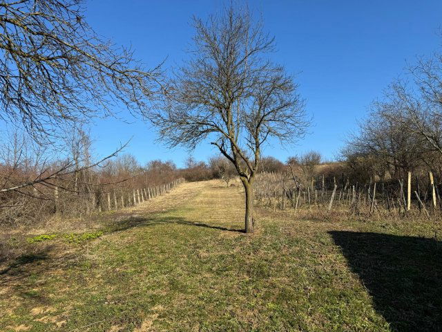 Eladó nyaraló, Türjén 5.5 M Ft, 2 szobás / költözzbe.hu