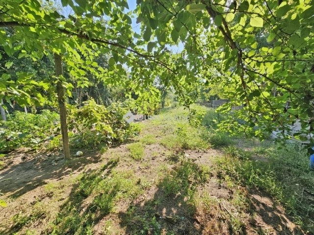 Eladó családi ház, Budapesten, XXI. kerületben 67 M Ft, 3 szobás