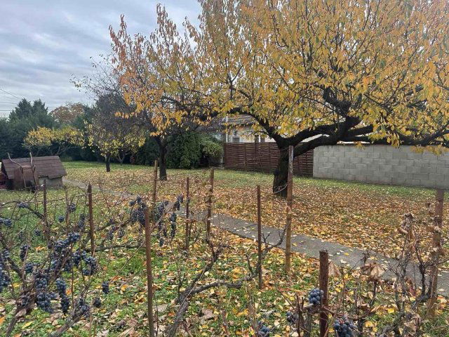 Eladó telek, Dunakeszin 78 M Ft / költözzbe.hu